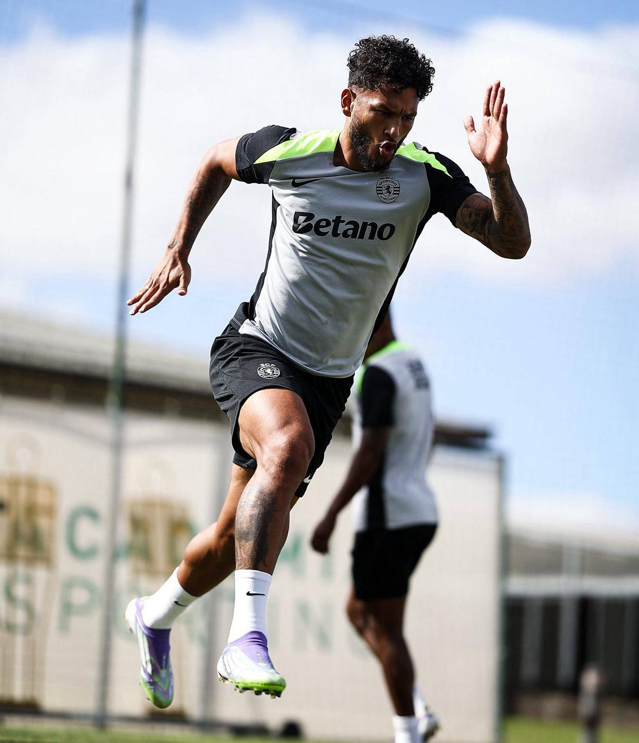 关于转会期葡超焦点战，尼斯回应争议，球迷炸锅，细节决定成败的信息